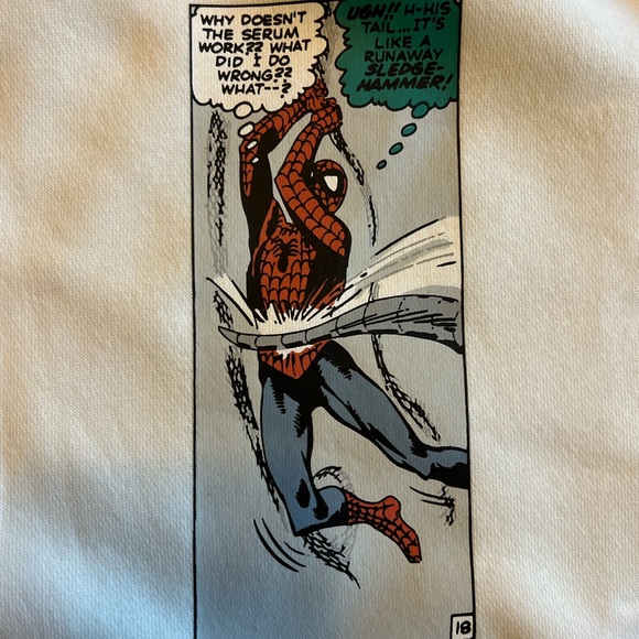 MARVEL SPIDERMAN Hoodies NEW With Tag S, M, L, XL, XXL NWT RELAXED FIT - Picture 8 of 13